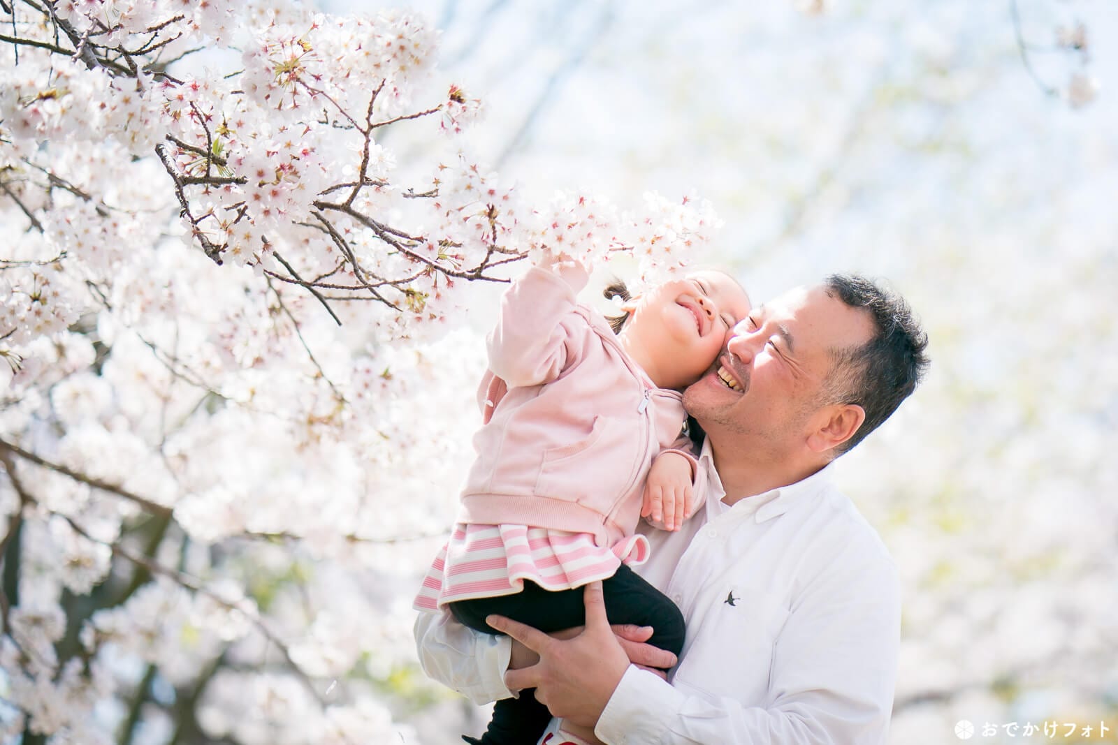 駕与丁公園・桜と家族写真