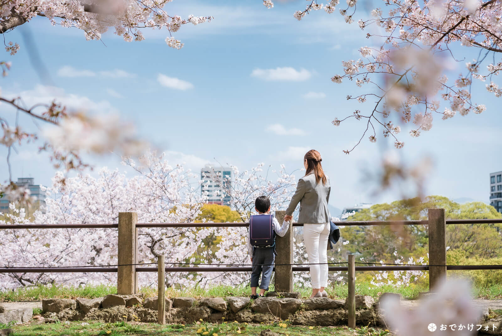 入学記念の桜ロケーションフォト出張写真撮影