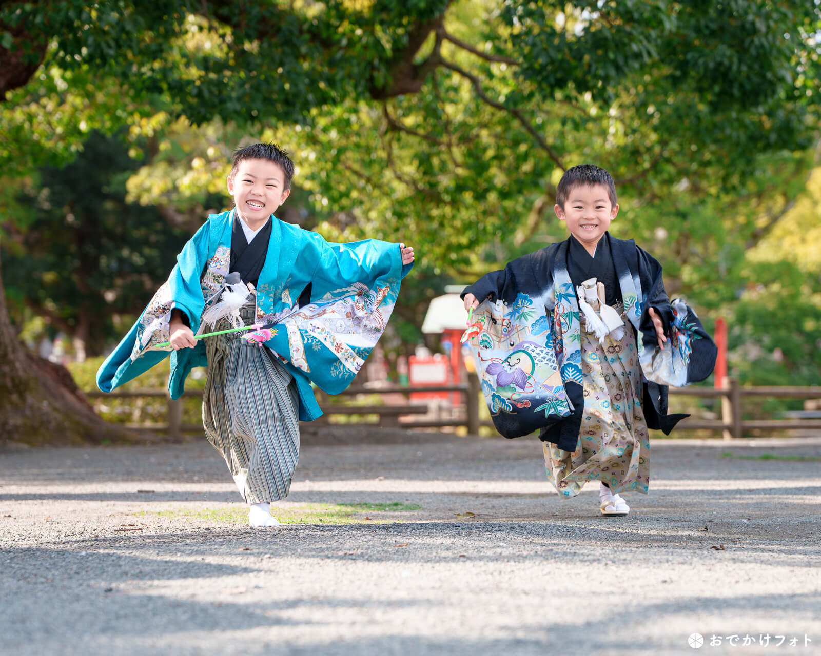 香椎宮で七五三のロケーションフォト出張撮影