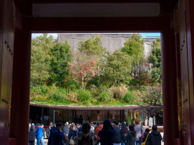 太宰府天満宮仮殿