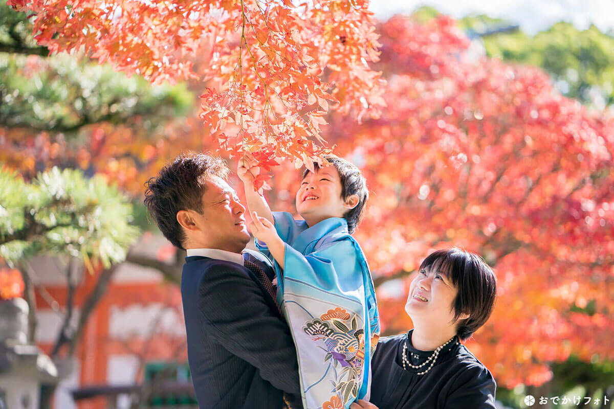 紅葉八幡宮での七五三撮影