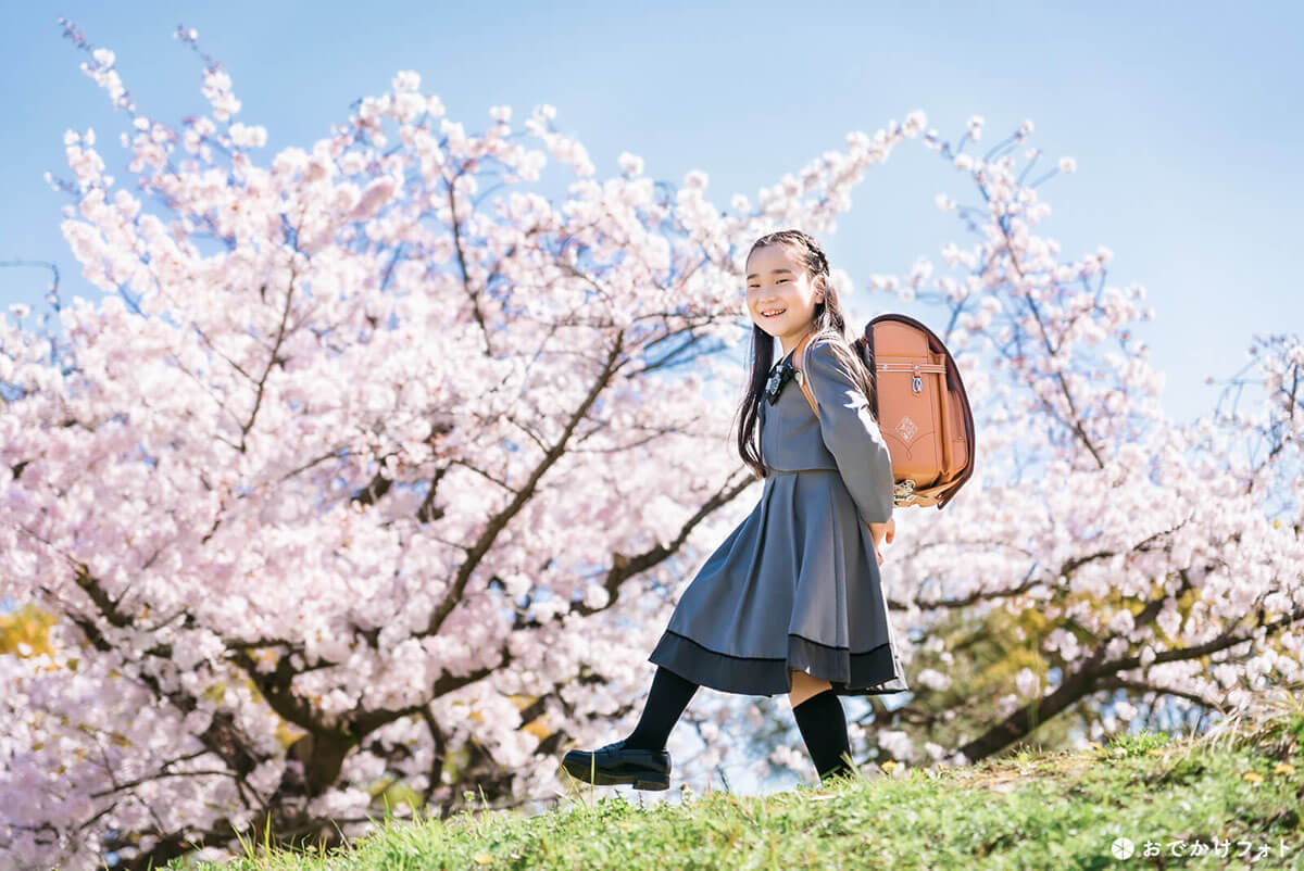 舞鶴公園での入園入学撮影